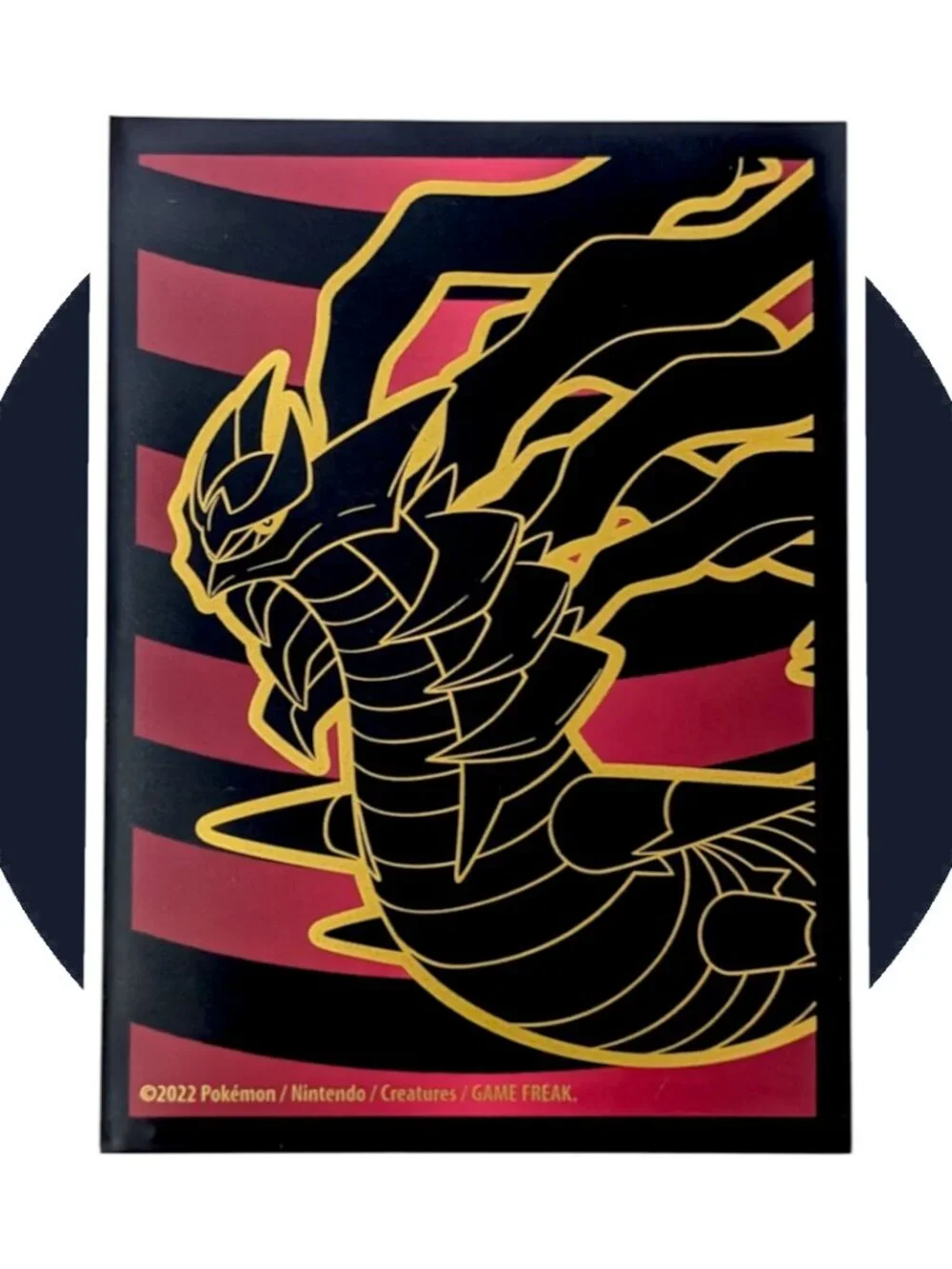 Silver Tempest Pokemon Card (O81): Brandon 151/195, Ken Sugimori